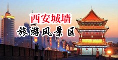 大鸡巴综合视频中国陕西-西安城墙旅游风景区