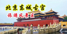 啊你他妈操我下面中国北京-东城古宫旅游风景区